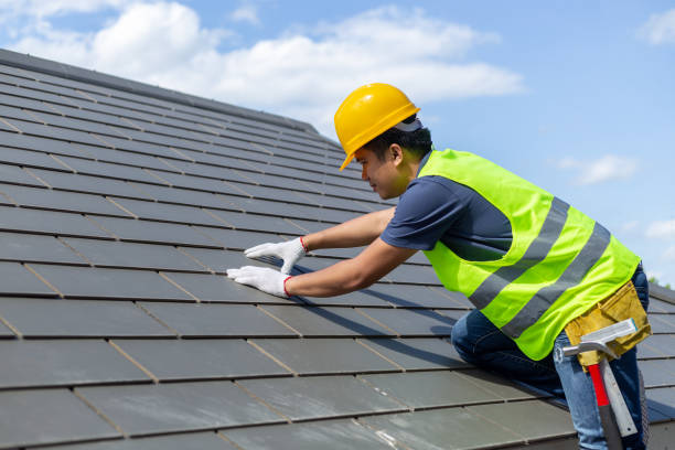 Best Metal Roofing Contractor  in Holden, MO