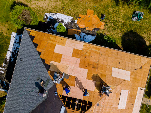 Trusted Holden, MO Roofing Contractor Experts